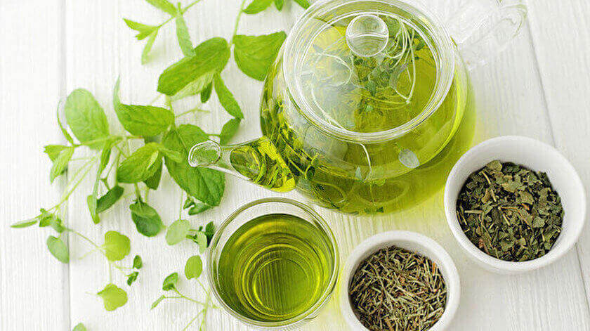 Organik Yeşil Çay Hakkında Bilmeniz Gerekenler